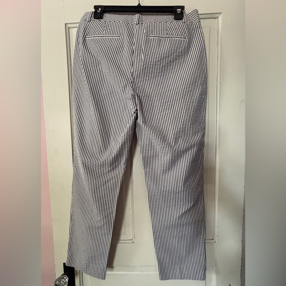 Banana Republic Navy Striped Chinos